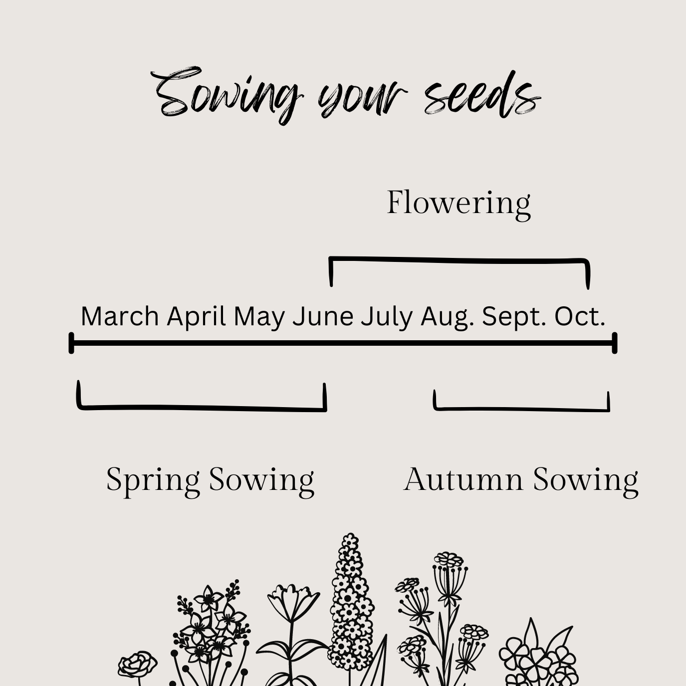 Wildflower Seed Wedding Packets