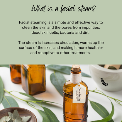 Tea Tree Facial Steam - For oily skin